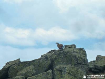 Cuerda Larga-Morcuera_Navacerrada;parque natural sierra de guara club numancia el desfiladero de las